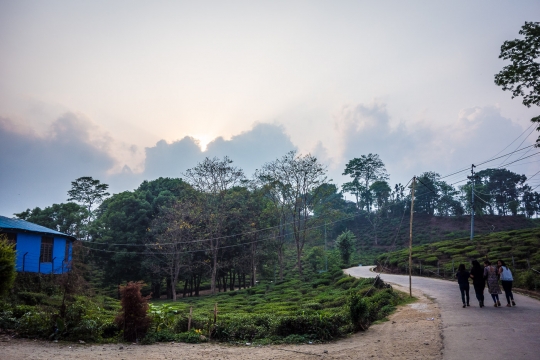 View from guesthouse Ilam
