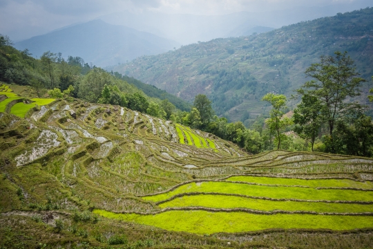 Nice terraces