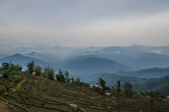 Terraces and views