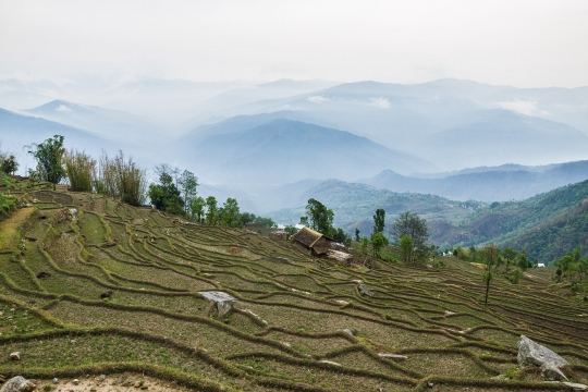 Terraces and views
