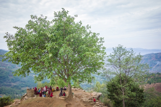 Women under a tree