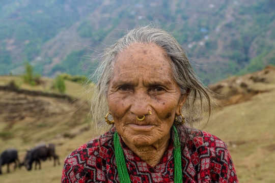 Herding lady