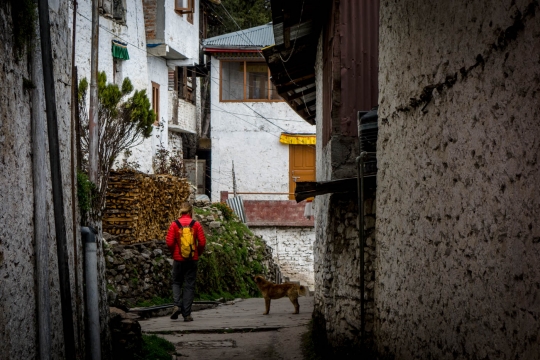 Walking through monastery alleys