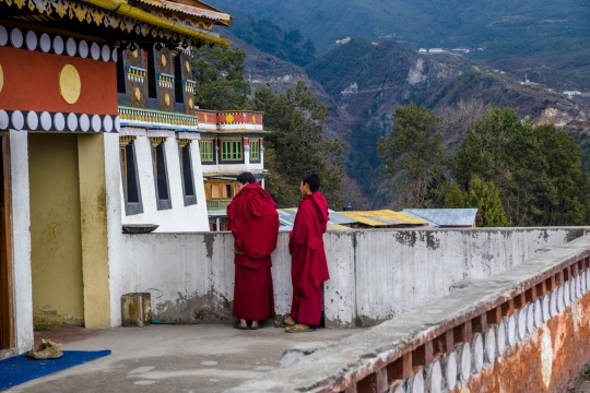 Young monks