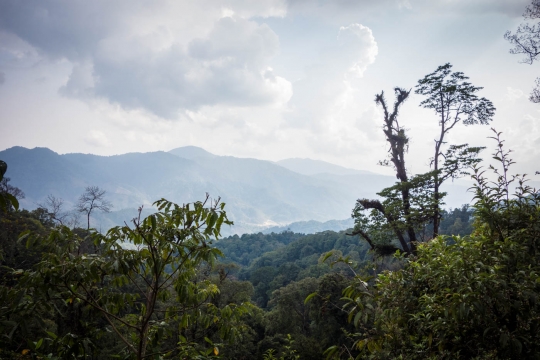 Arunachal view