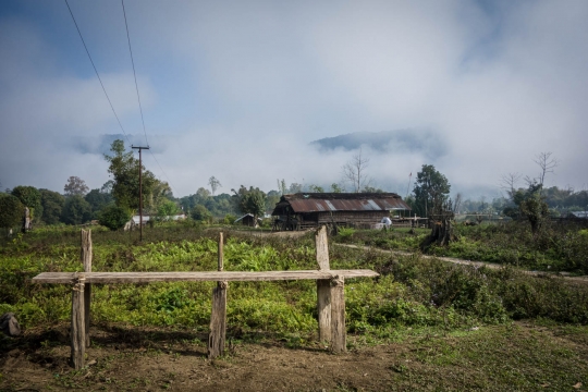 Long houses in this valley