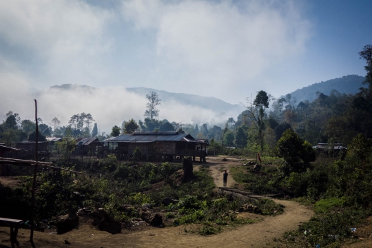 Village with nice houses