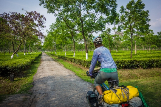 Cycling inbetween tea