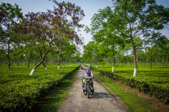 Cycling inbetween tea