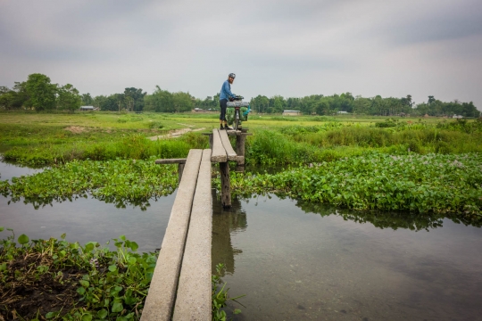 Crossing small river, balancing act.