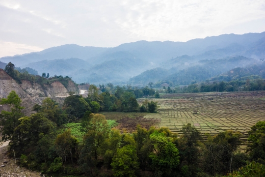 Crops in the valley