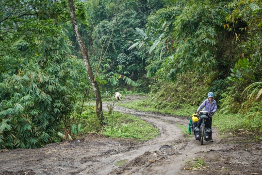Jungle roads near Kheel
