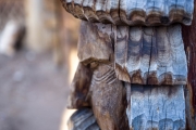The wooden face