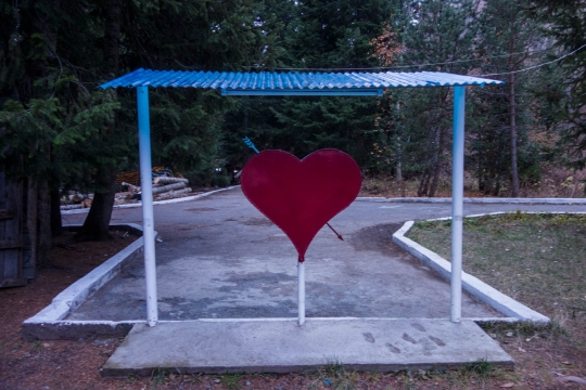 A love heart for wedding couples