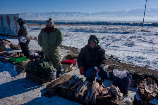 Selling fish along the road