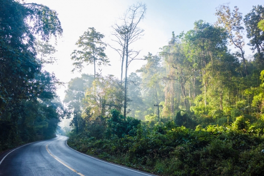 Morning haze