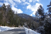 Nice weather and nice gradual ascent up to Reschenpass