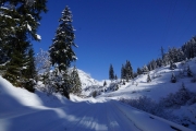 Plodding through the snow
