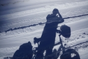 Nice shadows with a lot of sun
