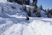 Plodding on