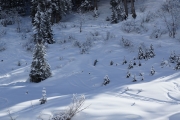Skiers and snowboarders