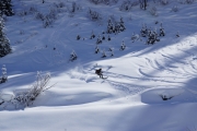 Skiers and snowboarders