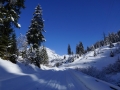 Plodding through the snow