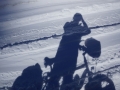 Nice shadows with a lot of sun