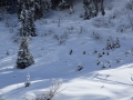 Skiers and snowboarders