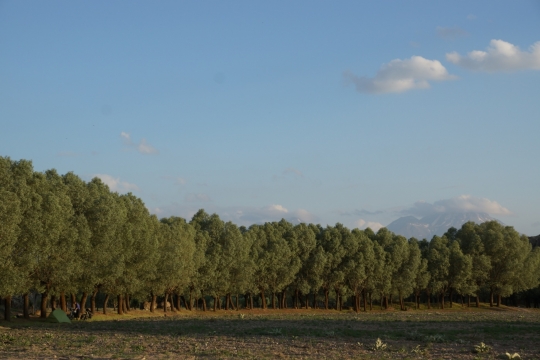 Camp spot near Selime