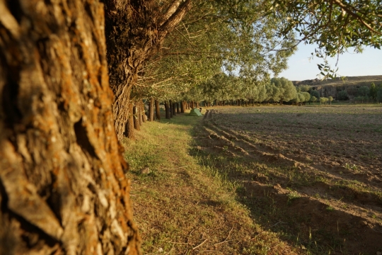Camp spot near Selime