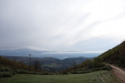 View!