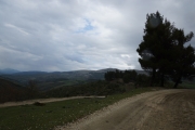 View!