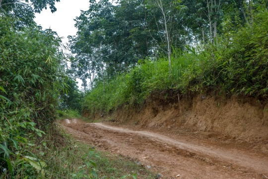 Local Lao road