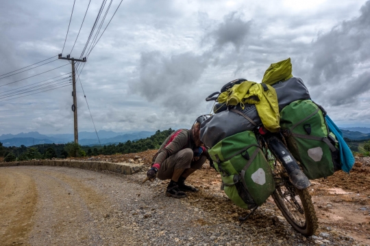 Checking the chain