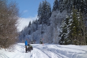 Avoiding a tunnel and onto snowy serviceroad