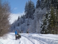 Avoiding a tunnel and onto snowy serviceroad