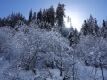 Great snow and sun