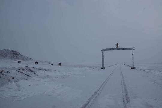 Snow and camels out of Bulgan