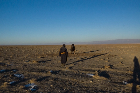 Time to go and check on the camels