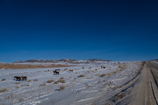 The road to Altai
