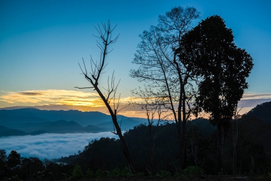 Sunrise over our campspot