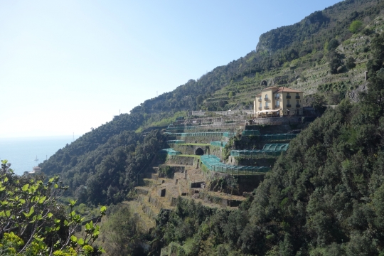 Agriculture levels Amalfi coast