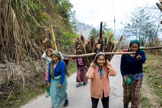Local women collecting wood
