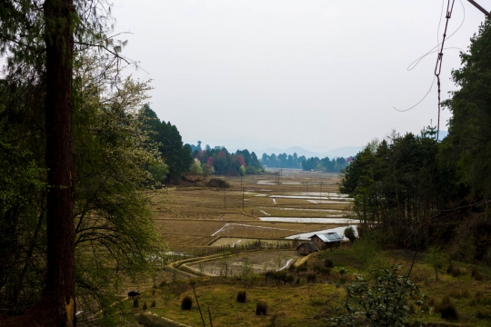 First view of Ziro valley