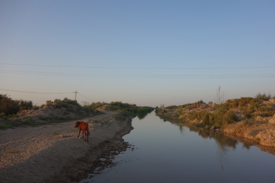 Irrigation channels