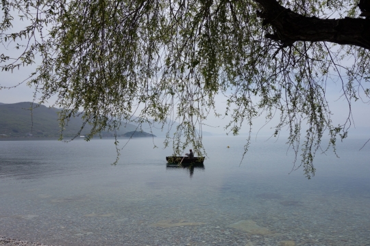View of the lake