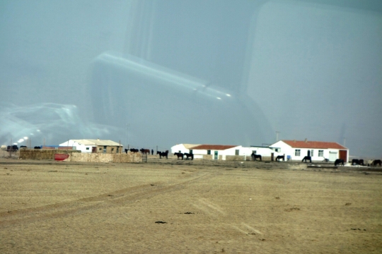 Countryside view from the bus