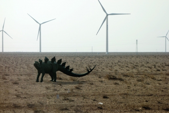 Dinosaurs in Erlian