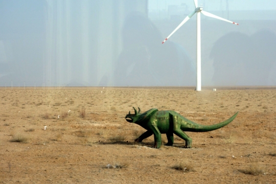 Dinosaurs in Erlian